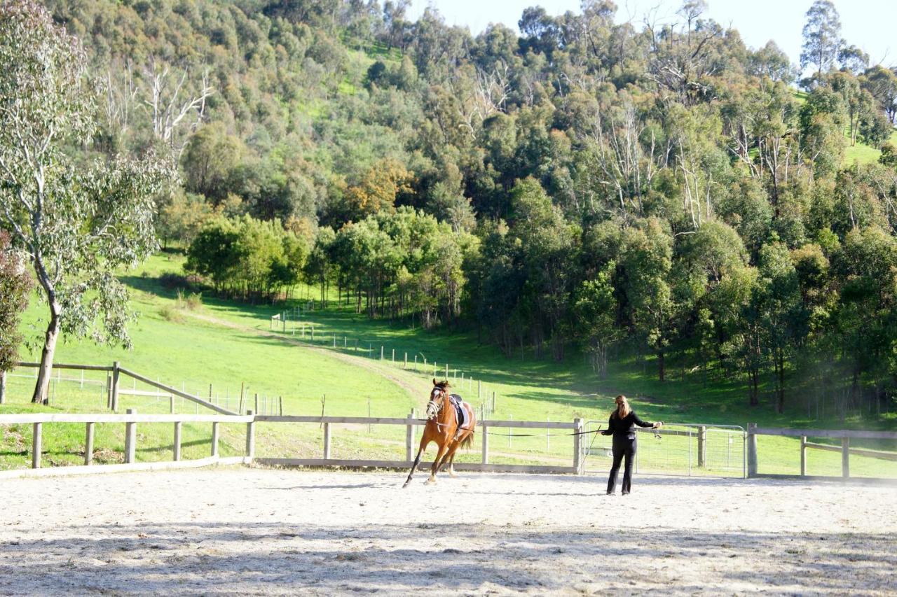 Halls On Falls Homestead Strath Creek エクステリア 写真