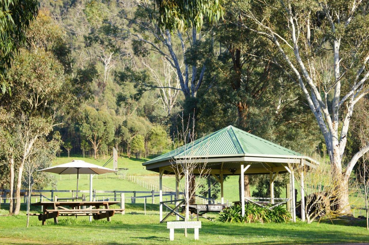 Halls On Falls Homestead Strath Creek エクステリア 写真